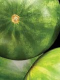 Domaća lubenica 1 kg