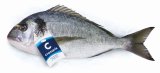 Svježa domaća orada 1 kg