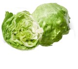 KBio Salata Iceberg