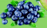 Borovnica Pakiranje 250 g