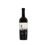 Pošip Težak, bijelo vrhunsko vino Blato 0,75 l