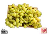Domaće grožđe bijelo 1 kg