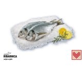 Svježa očišćena jadranska orada 720 g