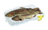 Svježe očišćena domaća pastrva 550 g