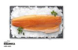 Svježi filet lososa