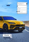 Pisanka B