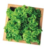 Salata Kristal 1 kom