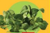 Bio matovilac 100 g