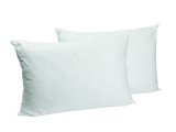 Jastuk Standard 700 g, 60 x 80 cm 1 kom