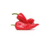 Paprika roga crvena 1 kg