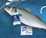 Brancin LL 400 - 600 grama/komad Cromaris 1 kg
