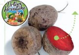 Cikla Vrtovi Hrvatske rinfuza 1 kg