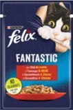 FELIX FANTASTIC
