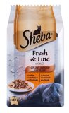Sheba