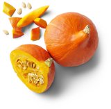 KBio