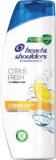 Head & Shoulders ŠAMPON ZA KOSU citrus, 400 ml