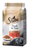 SHEBA