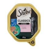 SHEBA