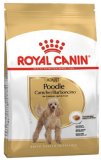 ROYAL CANIN POODLE