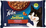 FELIX SENSATION 