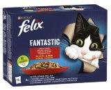 FELIX FANTASTIC