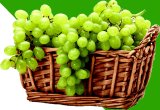 Grožđe bijelo Rinfuza 1 kg