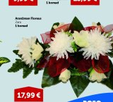 Aranžman Floreus Zara 1 komad