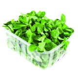 Matovilac 100 g