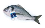 Orada LL CROMARIS 1 kg
