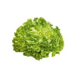 Domaća salata endivija komad
