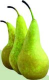 Kruška Abata Rinfuza 1 kg