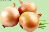 Luk crveni Rinfuza 1 kg