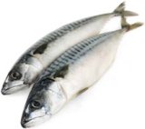 Skuša 1 kg