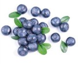 Borovnica pakiranje 125 g