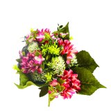 Buket krizantema mix 33 cm, 1 kom