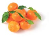 Mandarina Vrtovi Hrvatske rinfuza 1 kg