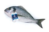 Orada LL 400 - 600 grama/komad Cromaris 1 kg