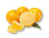 Domaća mandarina 1 kg