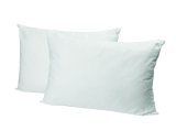 Jastuk standard 700 g, 60 x 80 cm 1 kom