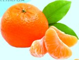 Mandarina 1 kg