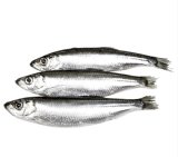 PAPALINA smrznuto, 1 kg