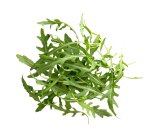 KBio Rukola 100 g