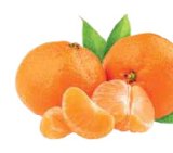Mandarina 1 kg