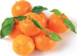 Mandarina Vrtovi Hrvatske 2 kg