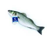 Brancin LL 400 - 600 grama/komad Cromaris 1 kg