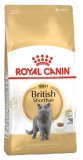 Royal Canin British Shorthair 2 kg