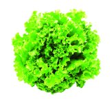 Salata kristal 1 kom