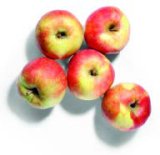 Jabuka Idared Vrtovi Hrvatske 1 kg