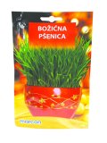 Pšenica božićna u vrećici 50 g
