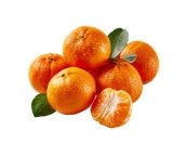 Domaća klementina 1 kg